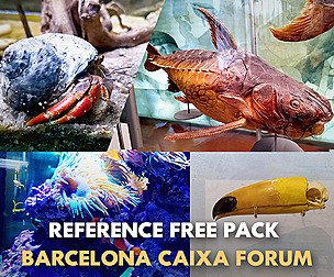 🖼️ Ref Free Pack - Animals 🐠 [Reference] (80)