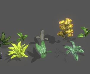 Set of plant tropic 2