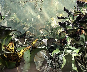 Set of plant tropic 3