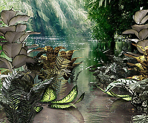 Set of plant tropic 4