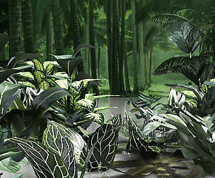 Set of plant tropic 5
