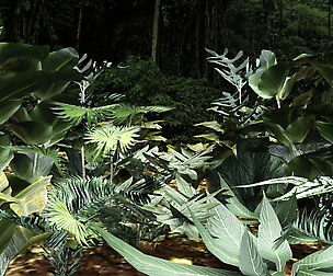 Set of plant tropic 6