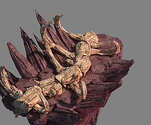Meteor Dragon Purgatory-Section 1 Dragon Bone