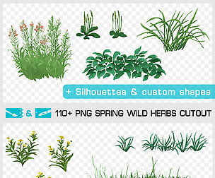 SPRING WILD HERBS CUTOUT