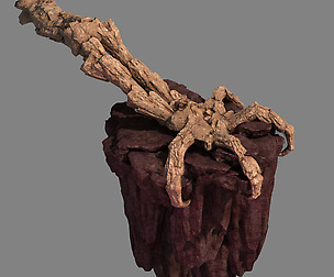 Meteorite Purgatory-Claws-Front Left