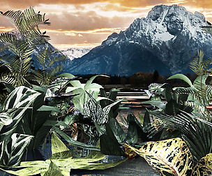 Set of plant tropic 7
