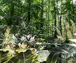 Set of plant tropic 8