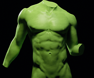 Anatomy of the male torso - Jesse Guy