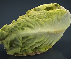 Lettuce
