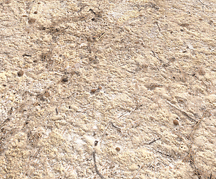 Rough Terrain PBR 6 Textures