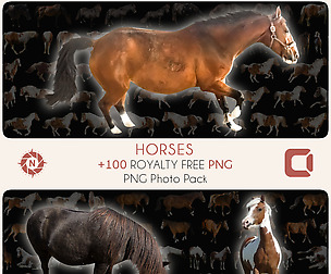 Horses - PNG Photo Pack
