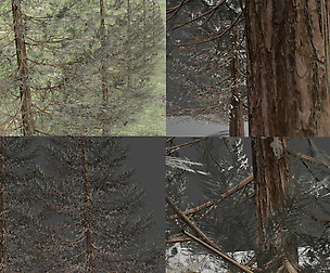 Set of realistic fir trees