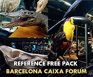 🖼️  Ref Free Animals 🐊 Reference Museum