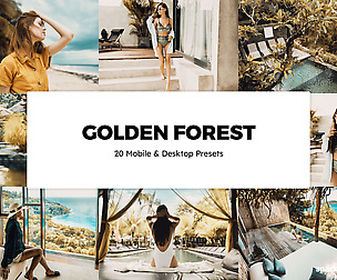 20 Golden Forest Lightroom Presets and LUTs