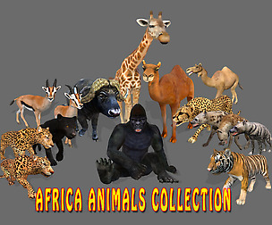 Big Collection Africa Animals - Animated