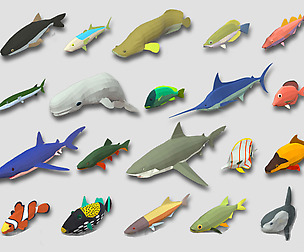 Fish Cartoon Collection Part 01 Animated