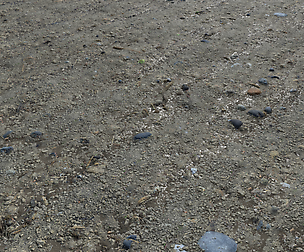 Muddy terrain and puddles 4 PBR Textures