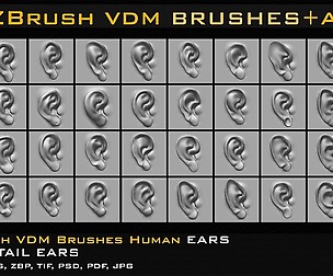 40 Zbrush VDM Human Ears Brushes