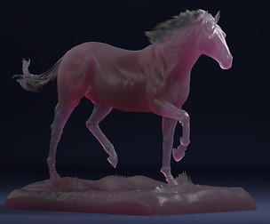 Stallion horse