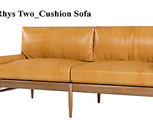 Rhys Two_Cushion Sofa