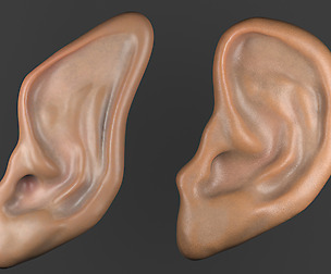 ears modeling