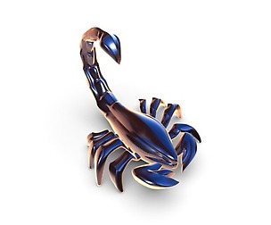 Scorpion