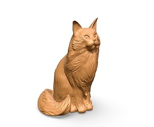 Cat Maineсoon 2