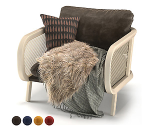 BuzziCane 1seat