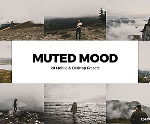 20 Muted Mood Lightroom Presets and LUTs