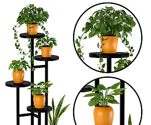plant standd