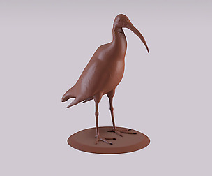 Australian Ibis figurine