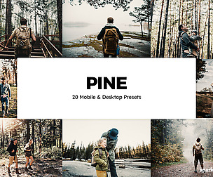 20 Pine Lightroom Presets and LUTs