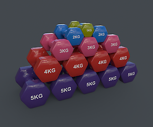 PBR 1-5KG Women Hexagon Dumbbell V1