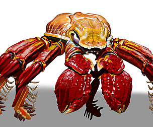 Red Crab ZTL ZBrush Sculpt