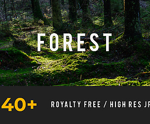 Forest, Environment Pack