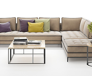Corner sofa set with table and plant