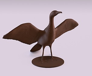 Cormorant