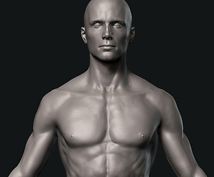 Man Basemesh Detailed