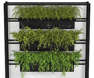 outdoor1