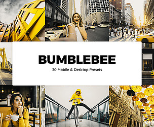 20 Bumblebee Lightroom Presets and LUTs