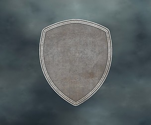 SHLD-001 Flat Shield