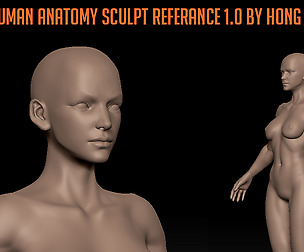 Female Human Anatomy reference by Hong Chan Lim