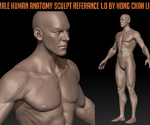 Male Anatomy Reference  by Hong Chan Lim