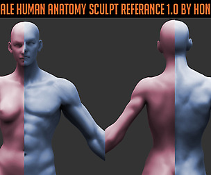 male & female Anatomy Reference by Hong Chan Lim