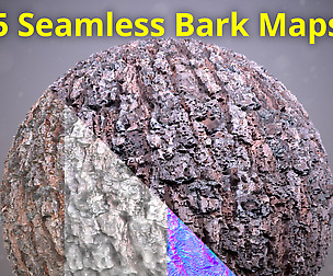 5 Bark textures 4K _ Vol 01