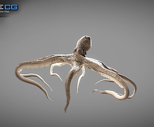 Animated Octopus v2