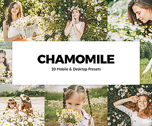 20 Chamomile Lightroom Presets and LUTs