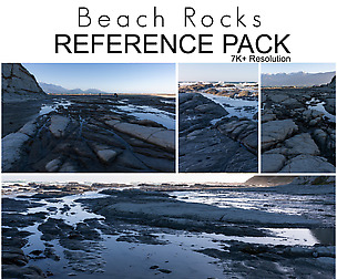 Ref Pack - Beach Rocks