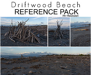 Ref Pack - Driftwood Beach