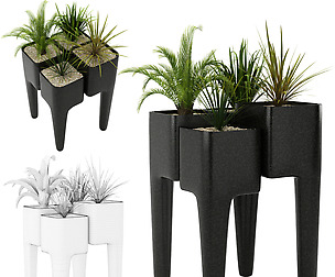 Collection_luxter_plant_vol_1